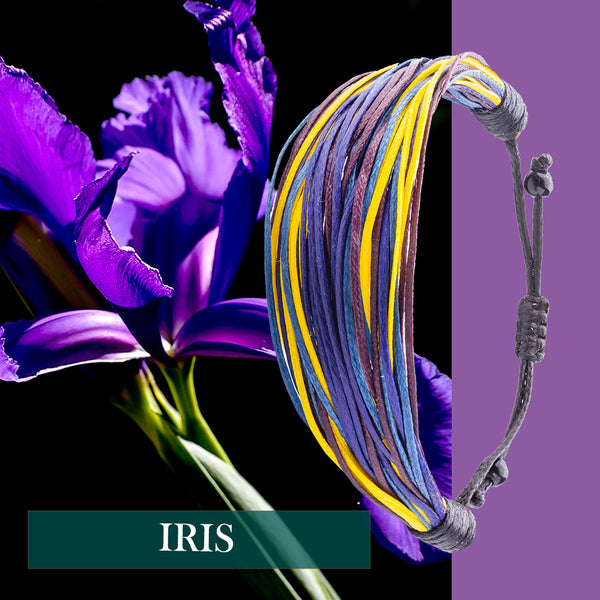 Iris