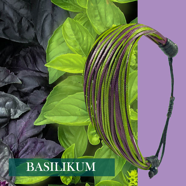 Basilikum