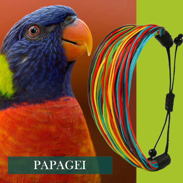 Papagei
